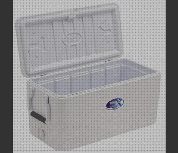Las mejores deposito agua coleman nevera portátil coleman 100l