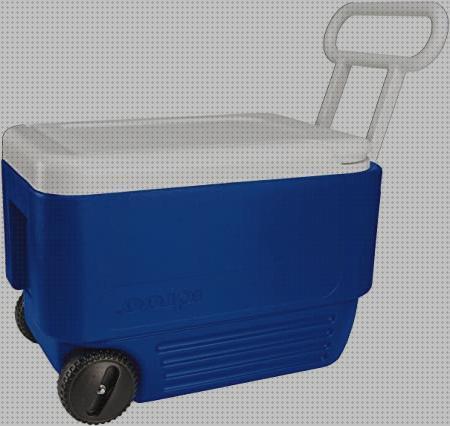 ¿Dónde poder comprar Más sobre calentador acumulador de agua deposito 50 litros deposito agua 5000 litros agua nevera portátil coleman 36 litros?