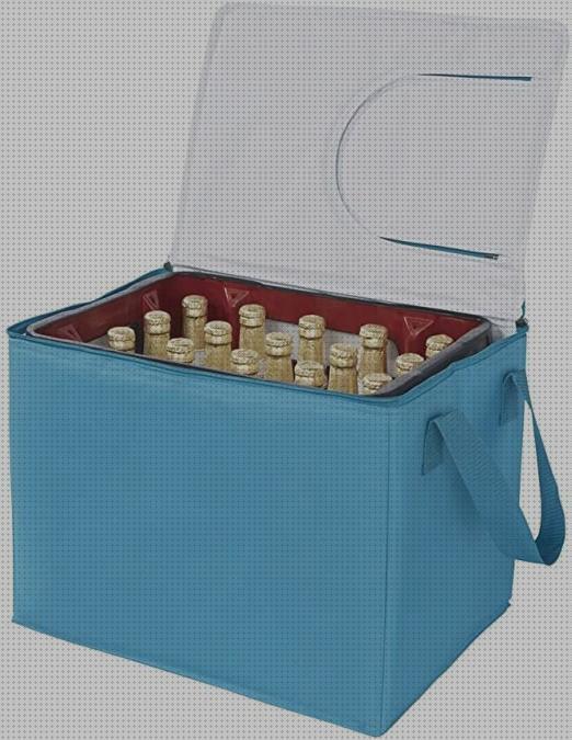 Las 23 Mejores Neveras Portátiles Con Cervezas