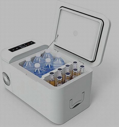 Las mejores marcas de Más sobre nevera portátil almuerzo nevera portátil furgo nevera deposito agua nevera portátil con refrigerador