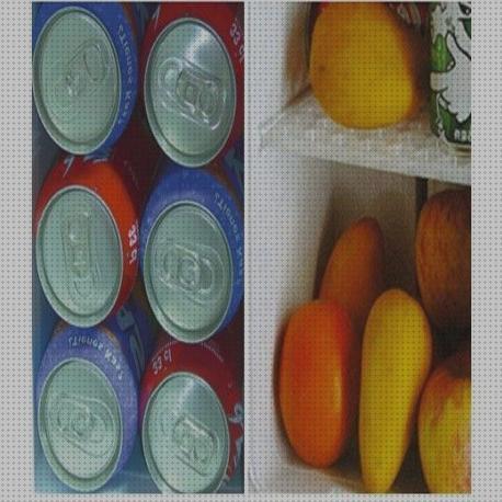 Las 13 Mejores Neveras Portátiles Diy