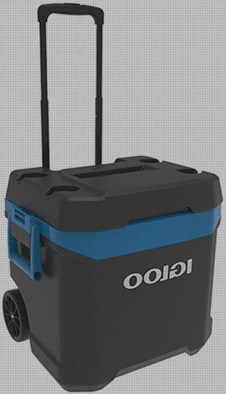 Las mejores marcas de nevera igloo portátil Más sobre inversor solar 230v nevera portátil eléctrica igloo