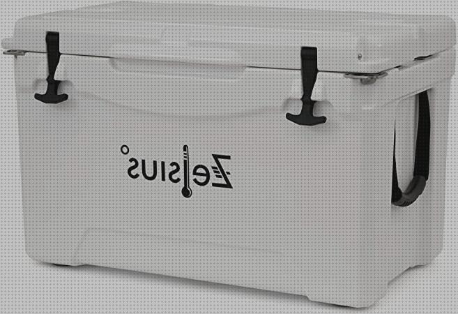 Review de nevera portátil hielo 50 litros