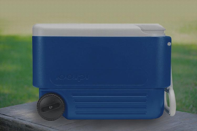 ¿Dónde poder comprar nevera igloo portátil Más sobre inversor solar 230v nevera portátil igloo?