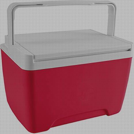 Las mejores marcas de nevera igloo portátil Más sobre inversor solar 230v nevera portátil igloo