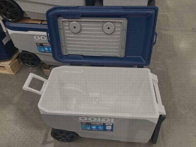 Las mejores marcas de nevera igloo portátil Más sobre inversor solar 230v nevera portátil igloo 23l