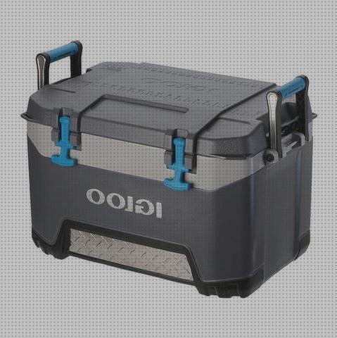 Análisis de las 26 mejores Neveras Portátiles Igloo 23l