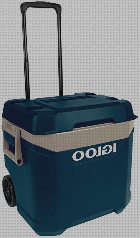 Review de nevera portátil igloo