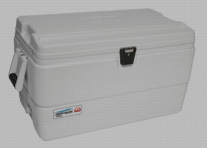 Las mejores nevera igloo portátil Más sobre inversor solar 230v nevera portátil igloo 54l