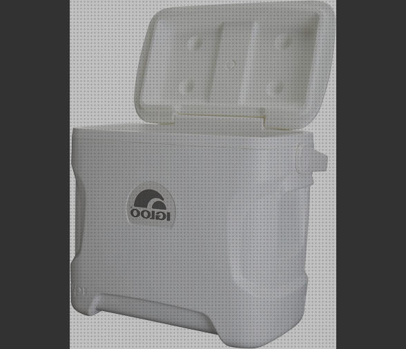 Las mejores nevera igloo portátil Más sobre inversor solar 230v nevera portátil igloo contour 30 marine