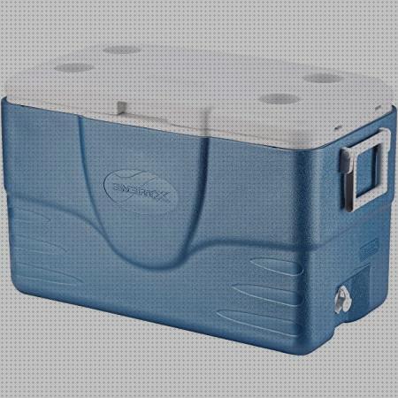 ¿Dónde poder comprar nevera igloo portátil Más sobre inversor solar 230v nevera portátil igloo marine 113 euros?