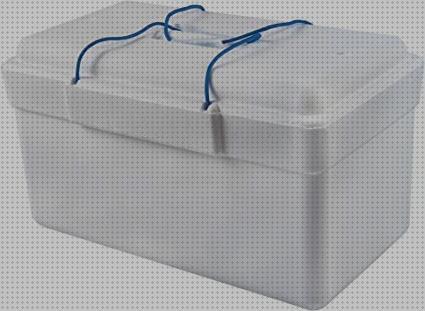 Las mejores marcas de nevera igloo portátil Más sobre inversor solar 230v nevera portátil igloo marine 113 euros