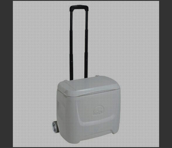 ¿Dónde poder comprar claraboya caravana roller Más sobre múnchen solar placa solar 300w Más sobre inversor solar 230v nevera portátil igloo marine breeze 28 roller?