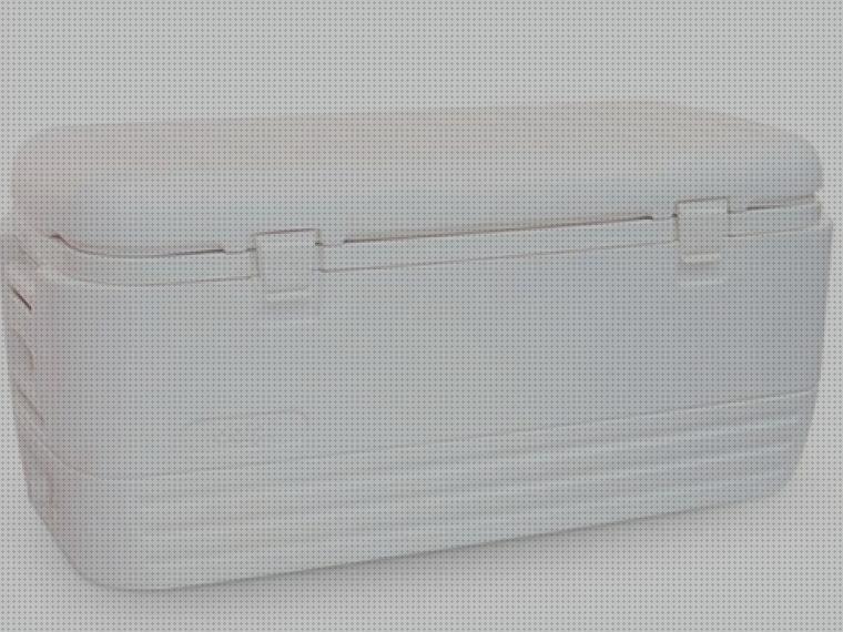 Las mejores marcas de nevera igloo portátil Más sobre inversor solar 230v nevera portátil igloo polar 120