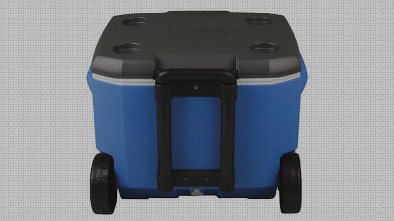 Las mejores marcas de deposito agua coleman nevera portátil igloo y coleman