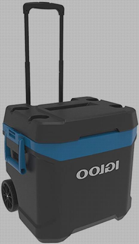 Las 20 Mejores Neveras Portátiles Igloo