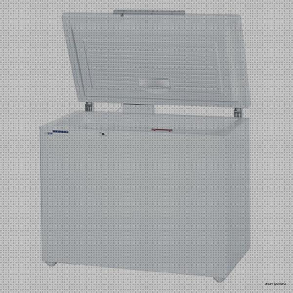 Review de nevera portátil liebherr