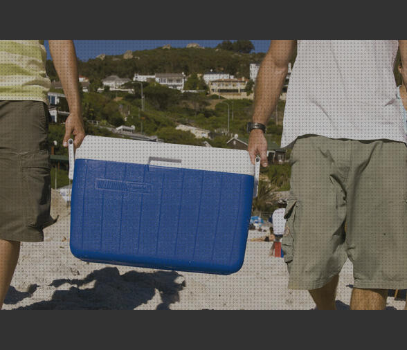 Review de nevera portátil rigida de 100l