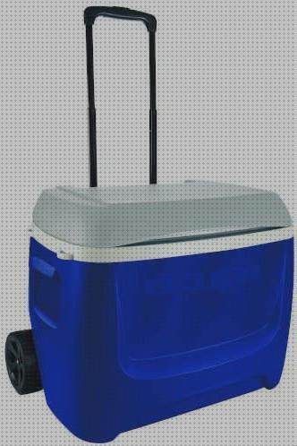 Las 23 Mejores Neveras Portátiles Roller