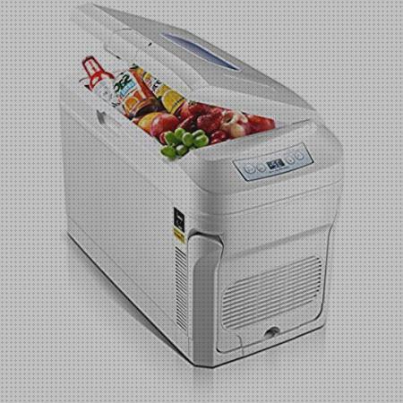 Review de nevera portátil termoeléctrica 12v 24v