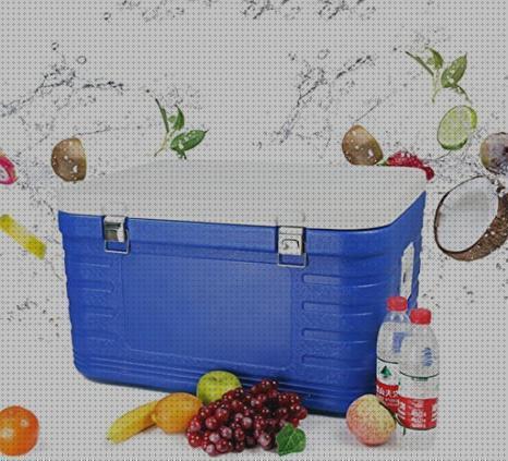 Review de neveras de 80 l portatiles