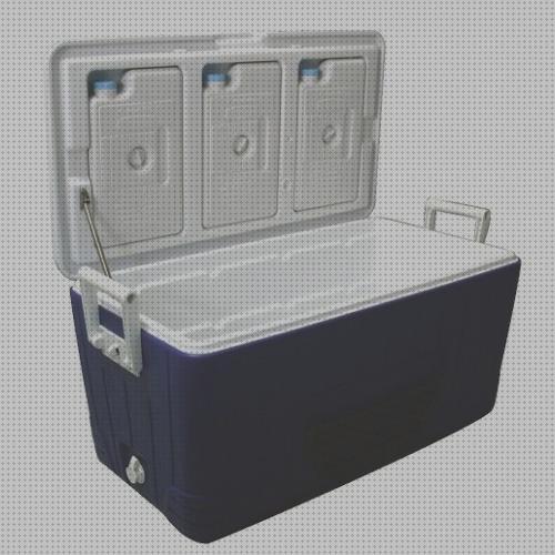 Opiniones de las 25 mejores Neveras De 80 L Portatiles
