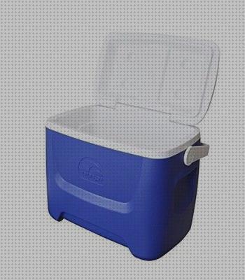 Las 26 Mejores Neveras Portátiles Igloo
