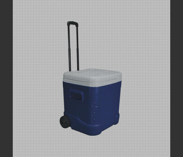 Review de neveras portatiles 60 litros