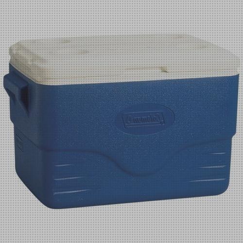 Review de neveras portatiles de hielo