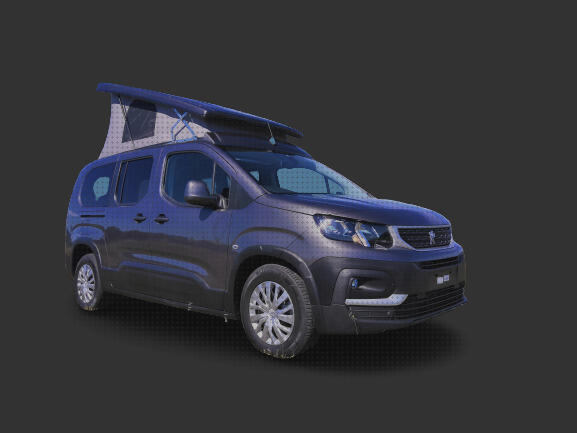 ¿Dónde poder comprar deposito agua peugeot 206 peugeot rifter techo elevable?