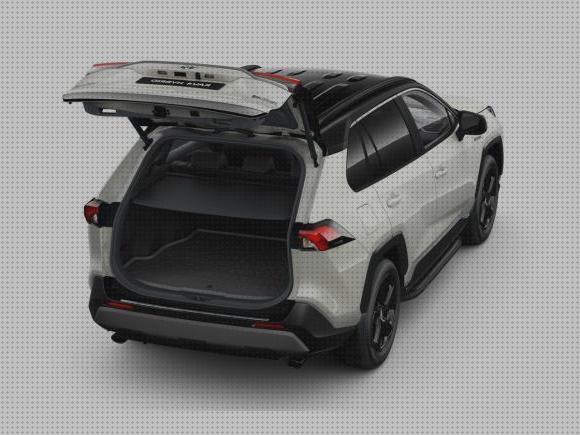 Review de portabici rav4 2020