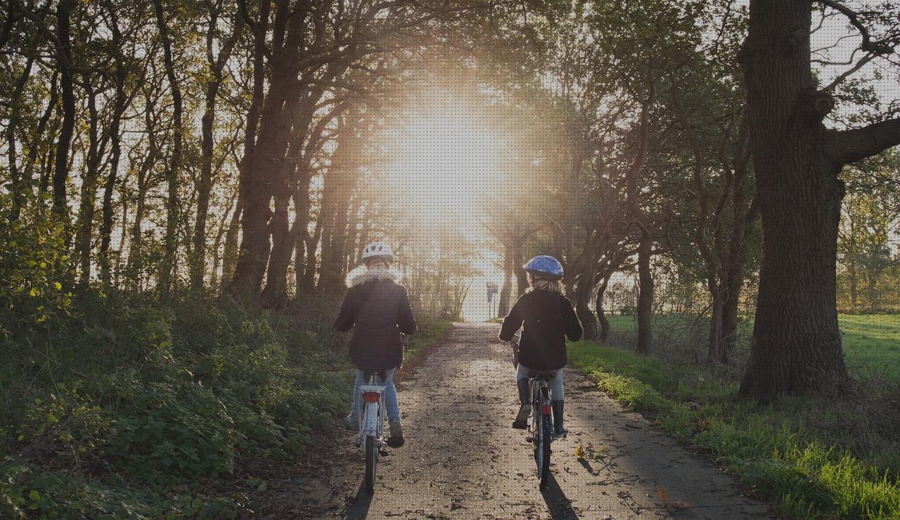 Review de portabicis coche porton 1 bici