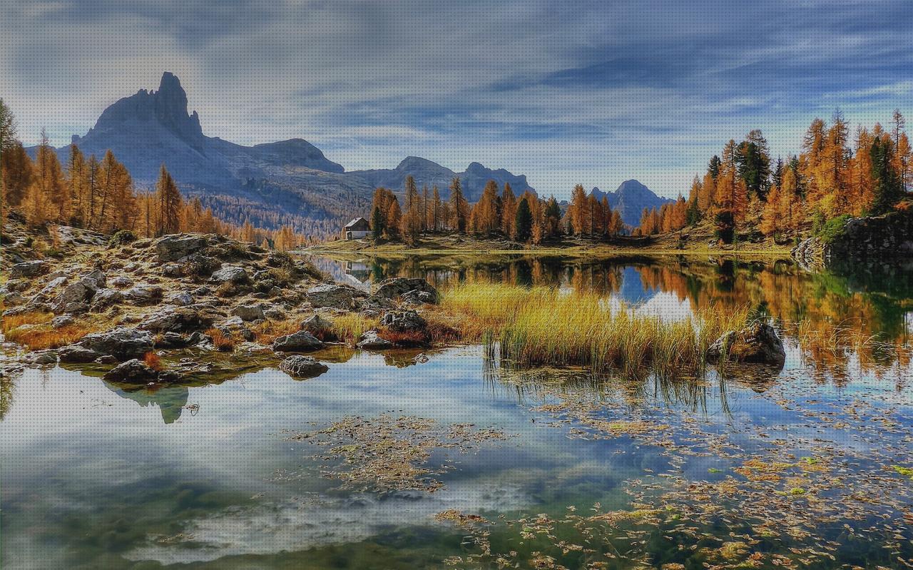 TOP 27 portabicis interiores touran del mundo