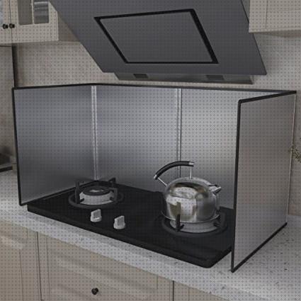 Las mejores marcas de protector solar claraboya Más sobre inversor solar 230v protector placa cocina