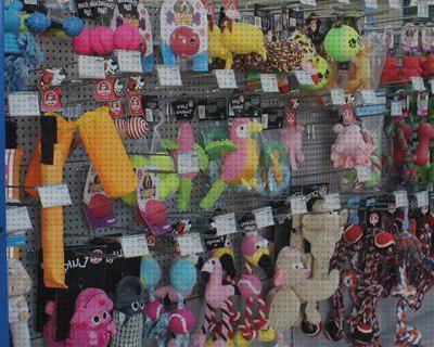 Review de seccion mascotas