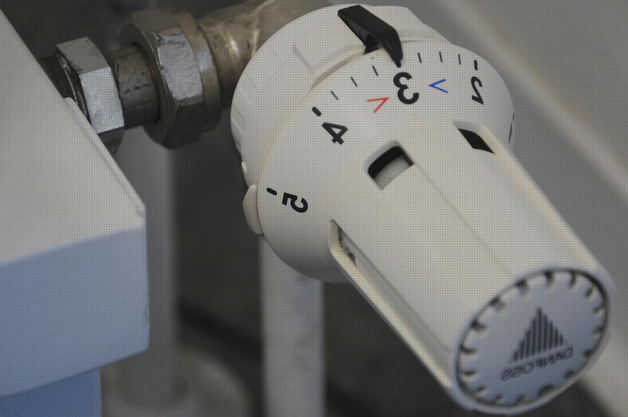 Las mejores deposito agua ducha 12v termostato nevera 12v