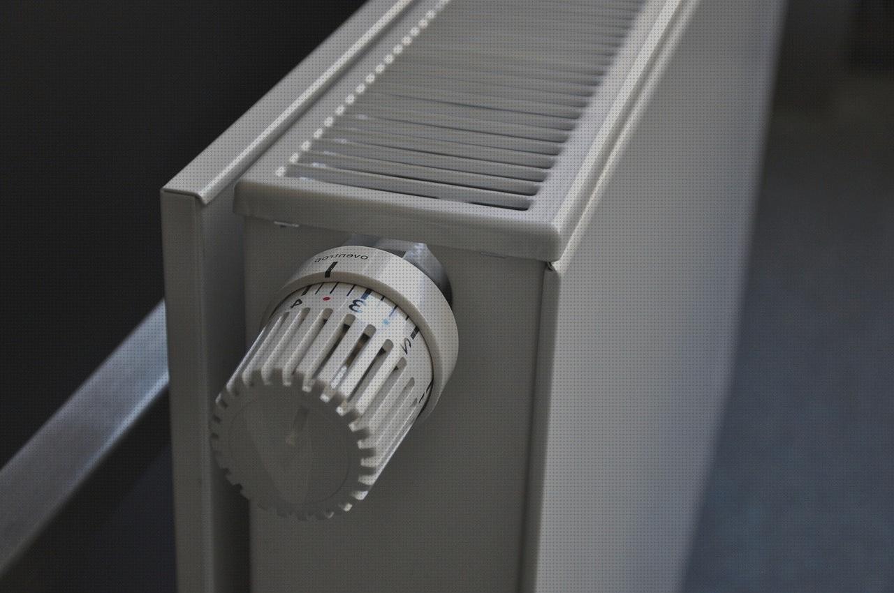 Análisis de los 25 mejores termostatos webasto