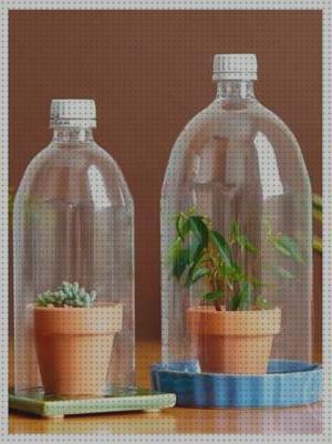 Análisis de los 18 mejores Terrarios Con Unas Garrafas De Aguas